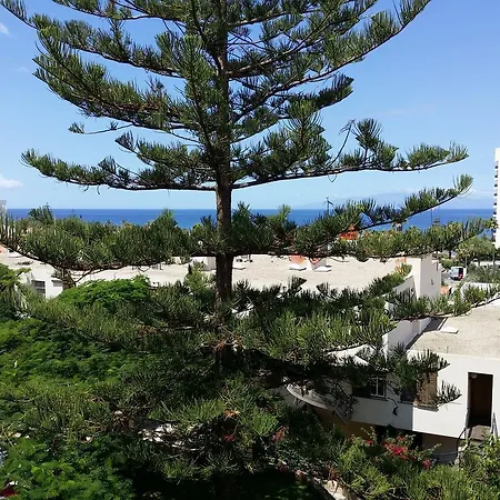 Jacaranda Apartamento *
